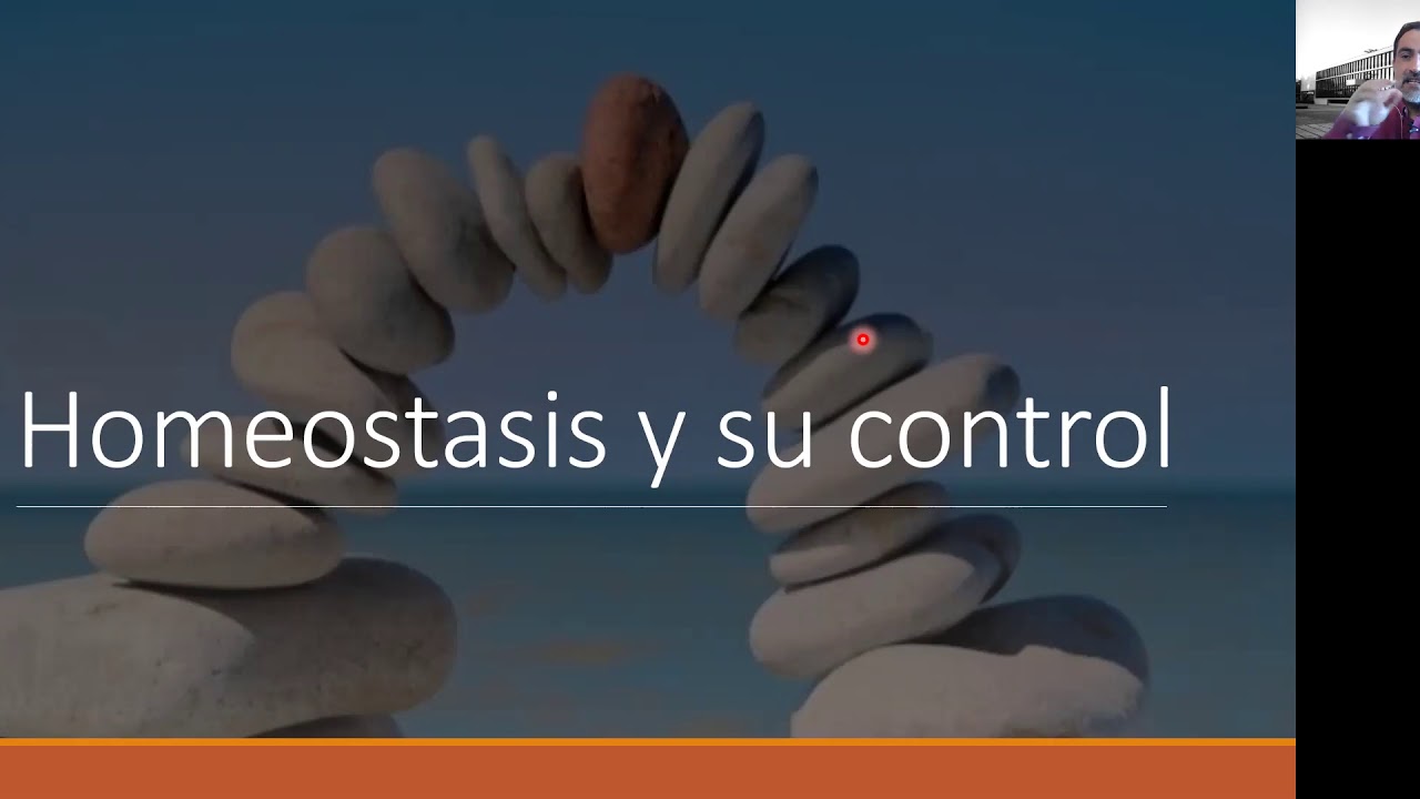 Fisiol clase01 Homeostasis Lunes18Octubre