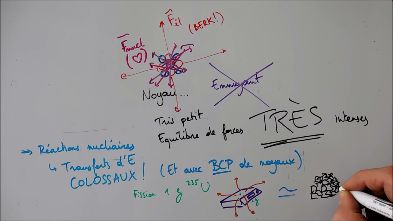 Interaction nucl&eacute;aire forte