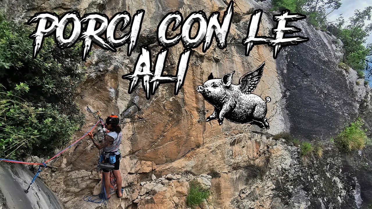 ARCO - PORCI CON LE ALI (6b)