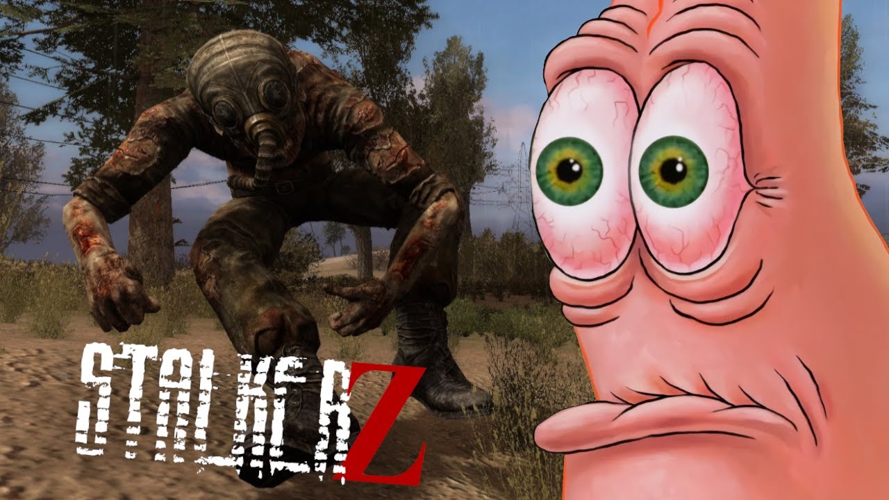 The Loner Experience | StalkerZ