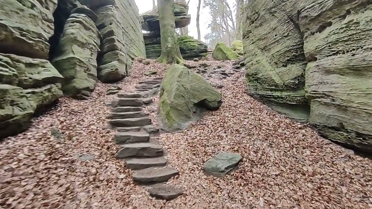 Mullerthal Trail: A Scenic Hike Through Luxembourg’s Nature