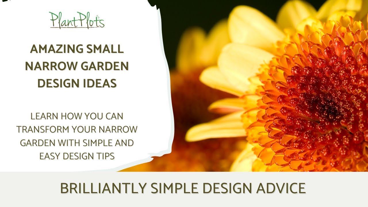 Long Narrow Garden Ideas: How to Create Width and Lose the 