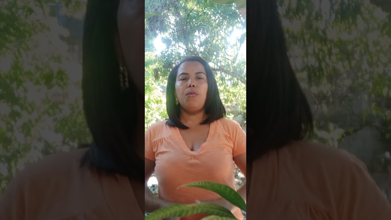 Asi se monetiza en Facebook 