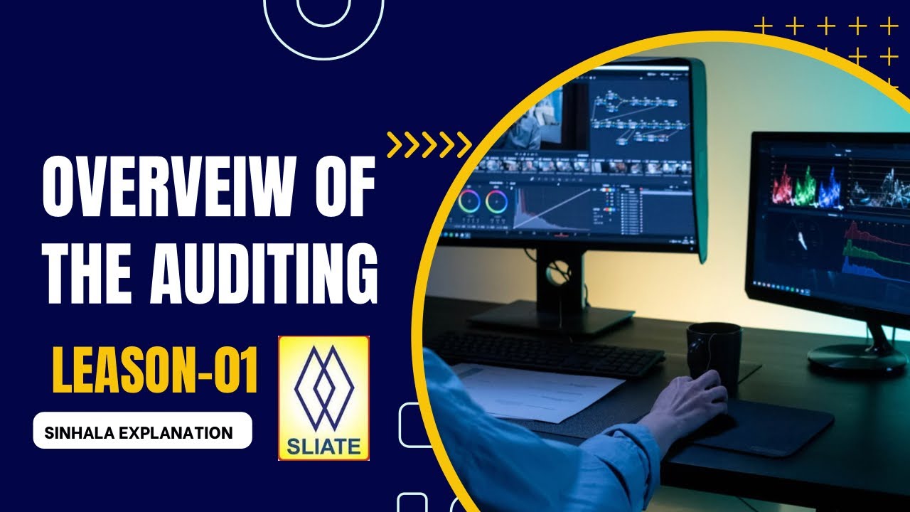 Overview of Auditing | HNDA | Sinhala Explanation