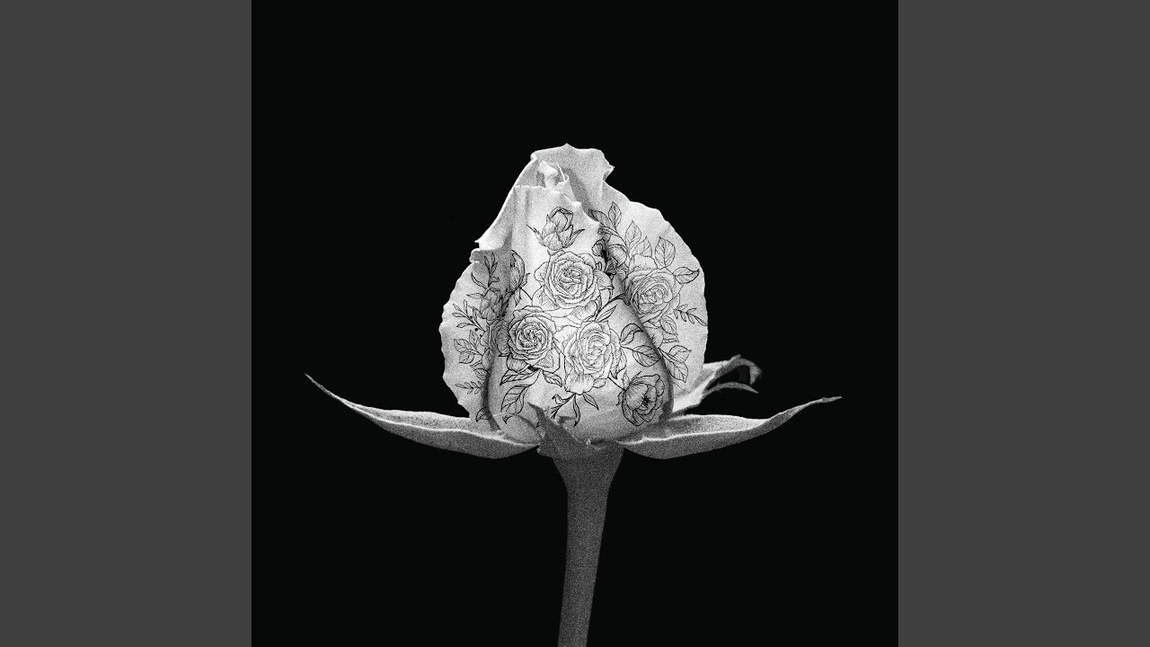cronache di un fiore
