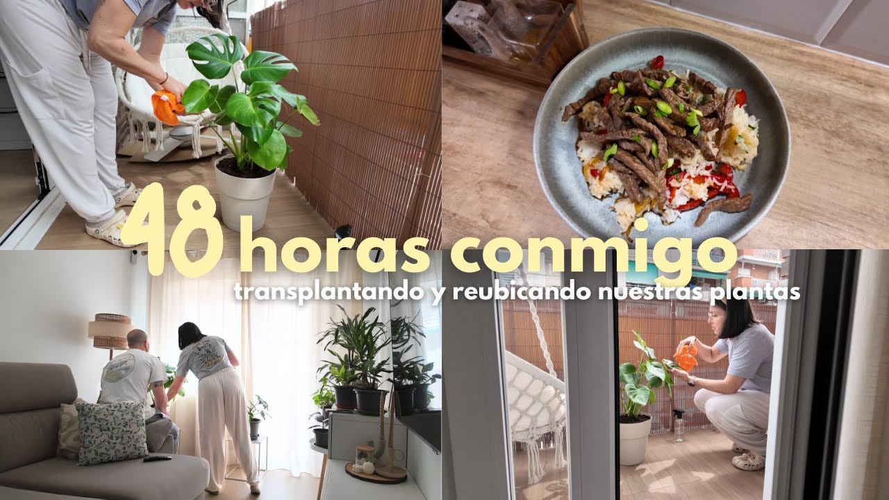 vlog | 🪴 TRANSPLANTANDO nuestras PLANTAS | 😢 menudo DESASTRE | RECETAS nuevas