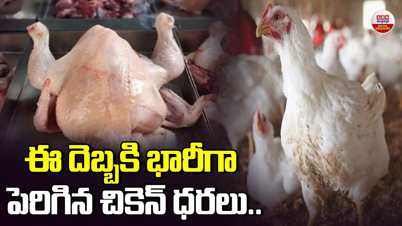 ఈ దెబ్బకి భారీగా పెరిగిన చికెన్ ధరలు | Chicken Prices Increased in Telugu States | ABN Digital