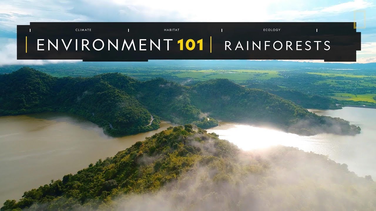 101環境教室：雨林《國家地理》雜誌