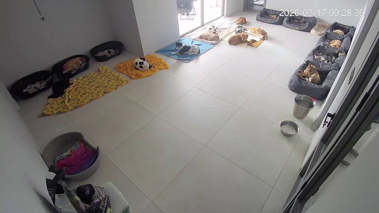 watch us live every night at 20:00 !