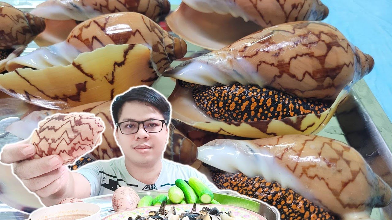 เมนูเด็ด:หอยกระโจงโดง กินครั้งแรกในชีวิต EP.17