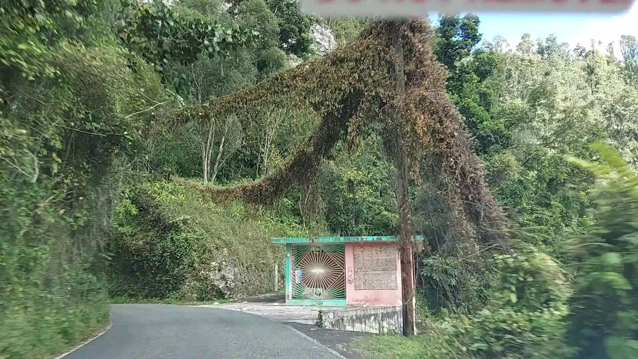 Utuado a Florida,Puerto Rico