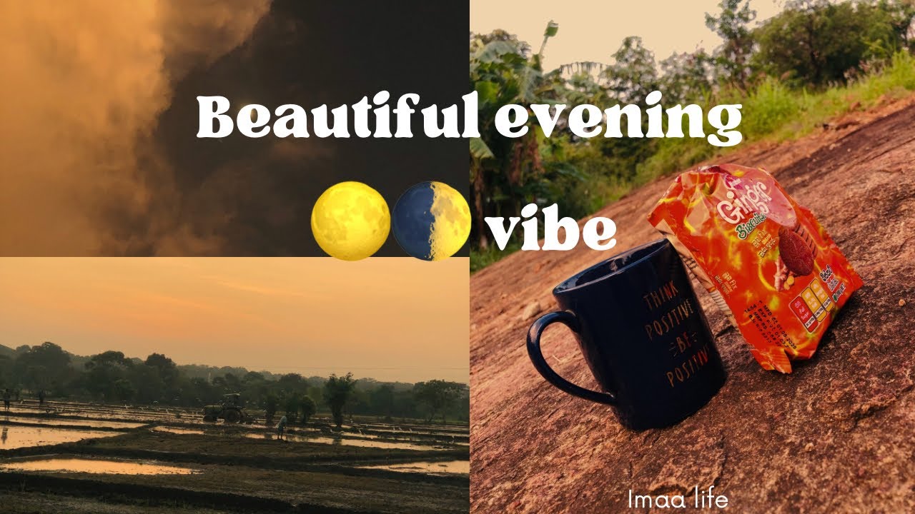 සන්ධ්‍යාවක 🌅 විරාමය | හදවතට සුව දෙන නිස්කලංක මොහොතක්😌 Evening Vibe,A Peaceful Moment for the Heart💖✨
