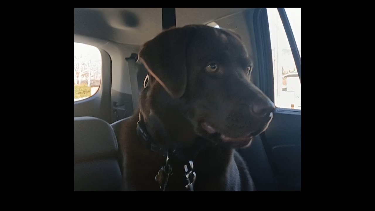 To the park!