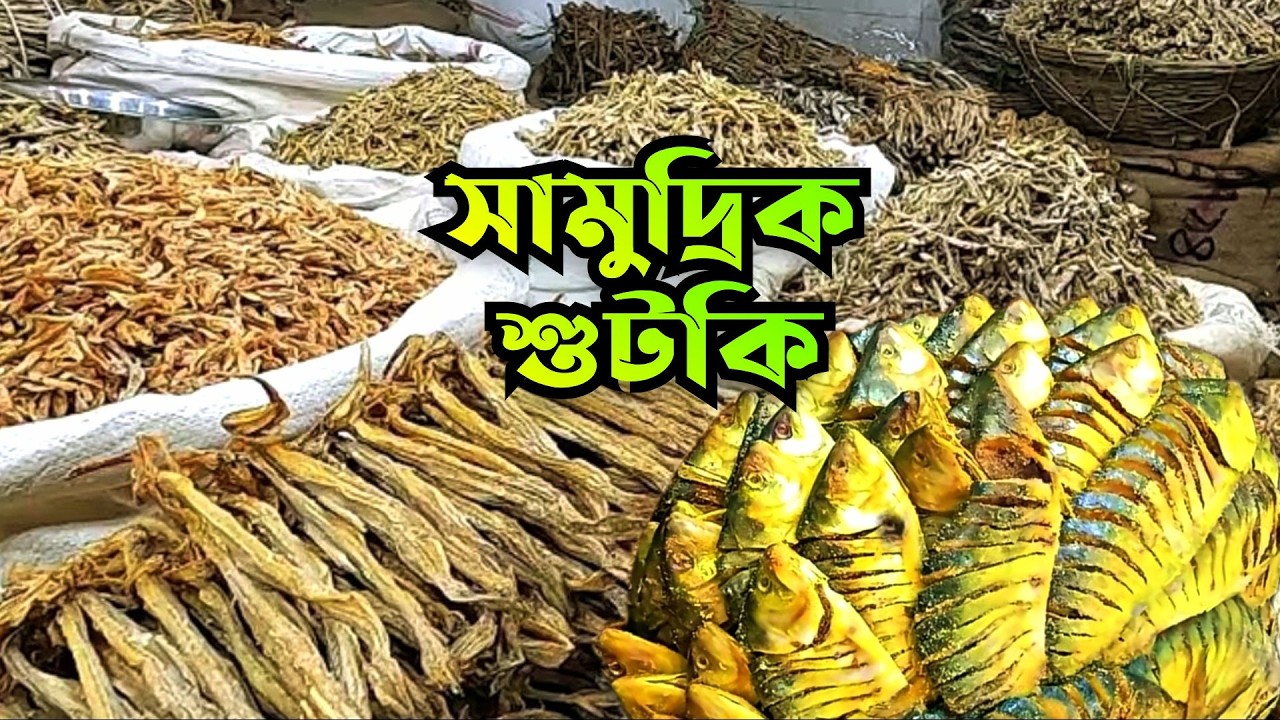 শুটকি মাছ কক্সবাজার ✅ dry fish market in cox's bazar✅ dry fish recipe