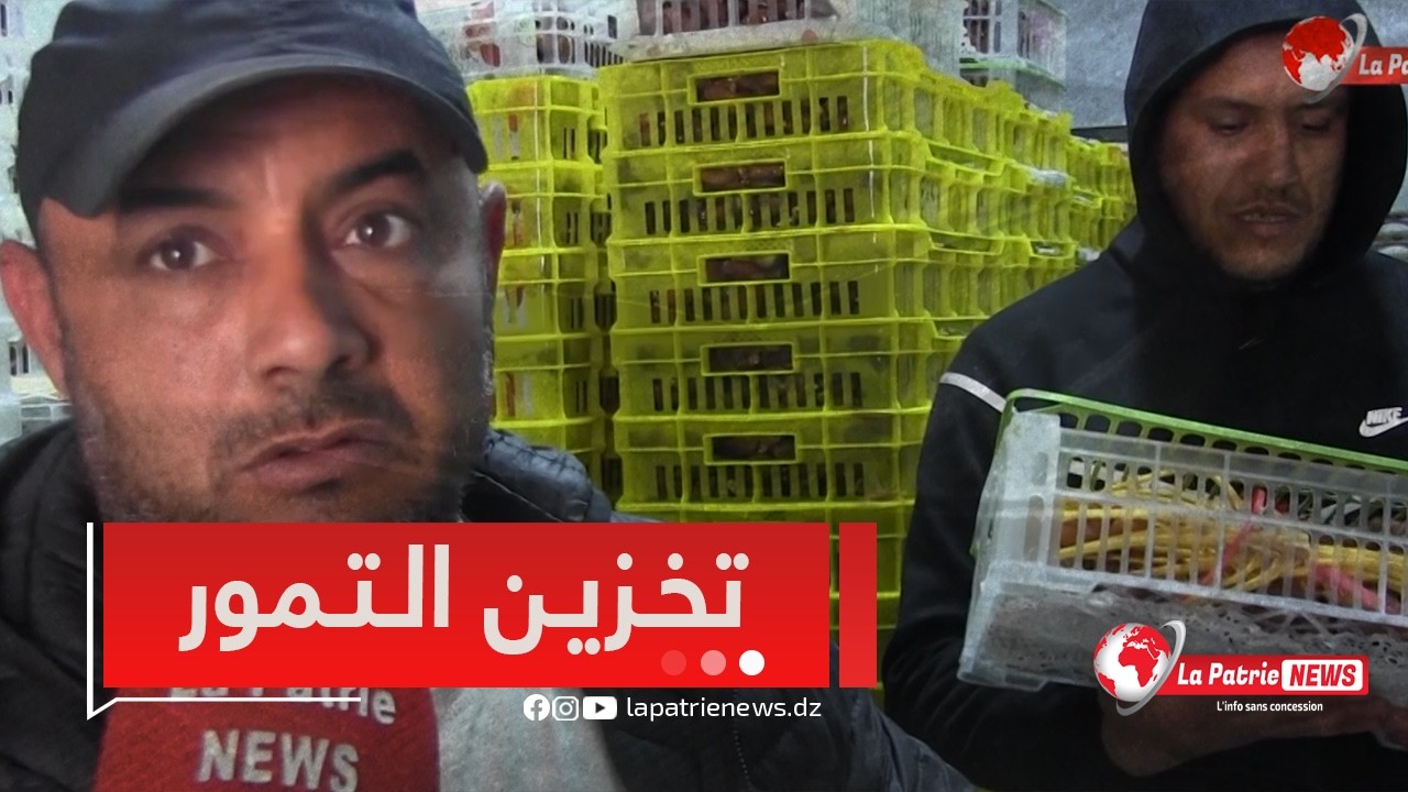 #روبورتاج 🎥ليوة ببسكرة.. هكذا تُخزَّن التمور وفق أعلى معايير السلامة والجودة 🫐