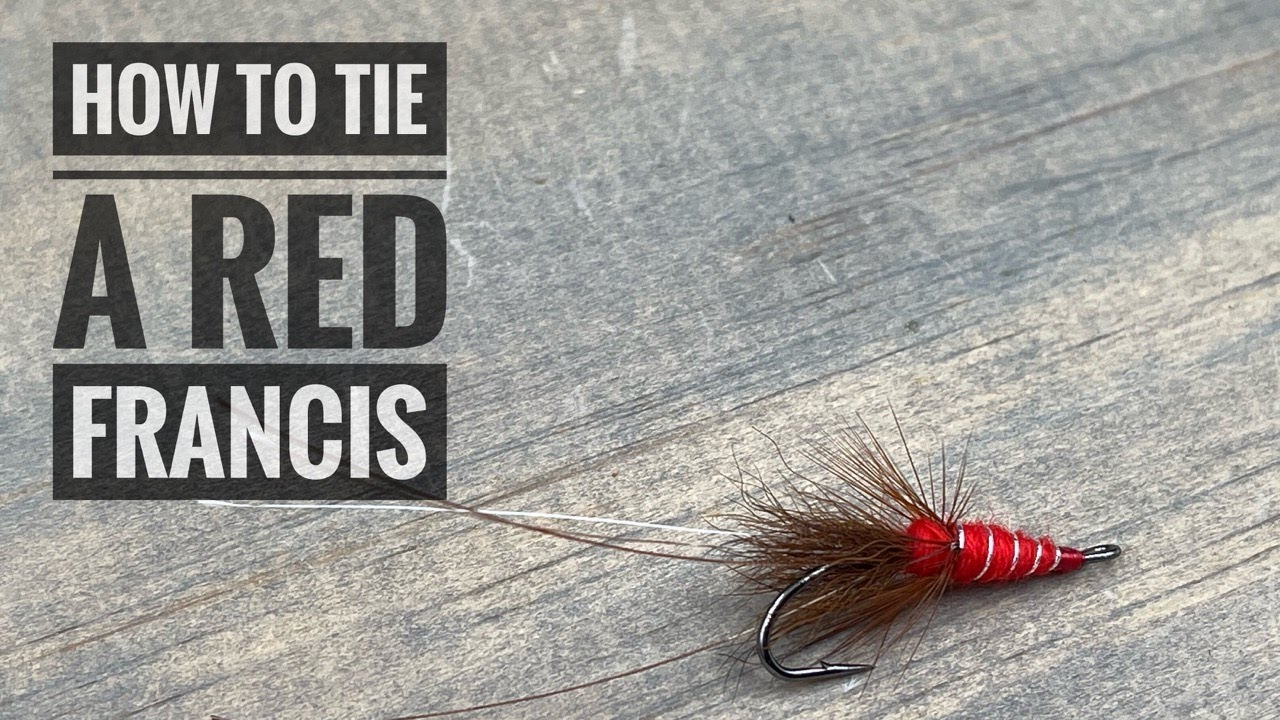 How to Tie a Red Francis Fly