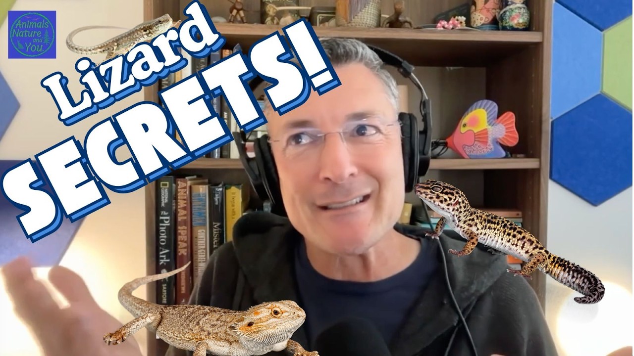 Give Me a Break - Lizard Tails That Detach and Regrow?