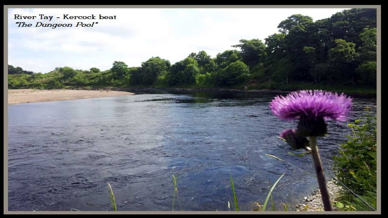 FishClyde & friends - A visit to the River Tay, Kerock Beat