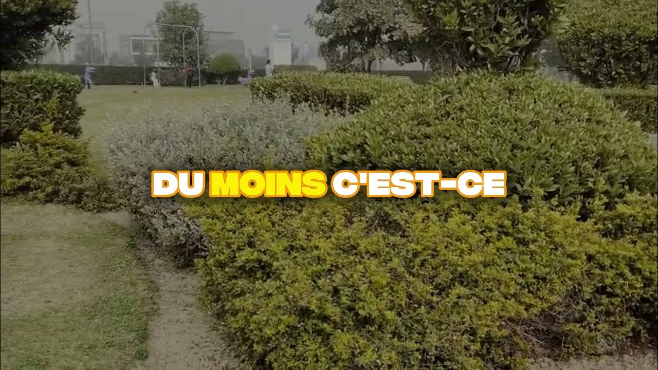 Ils m’ont laissé faire la vaisselle l an dernier cette année je les ai laissés dans le froid
