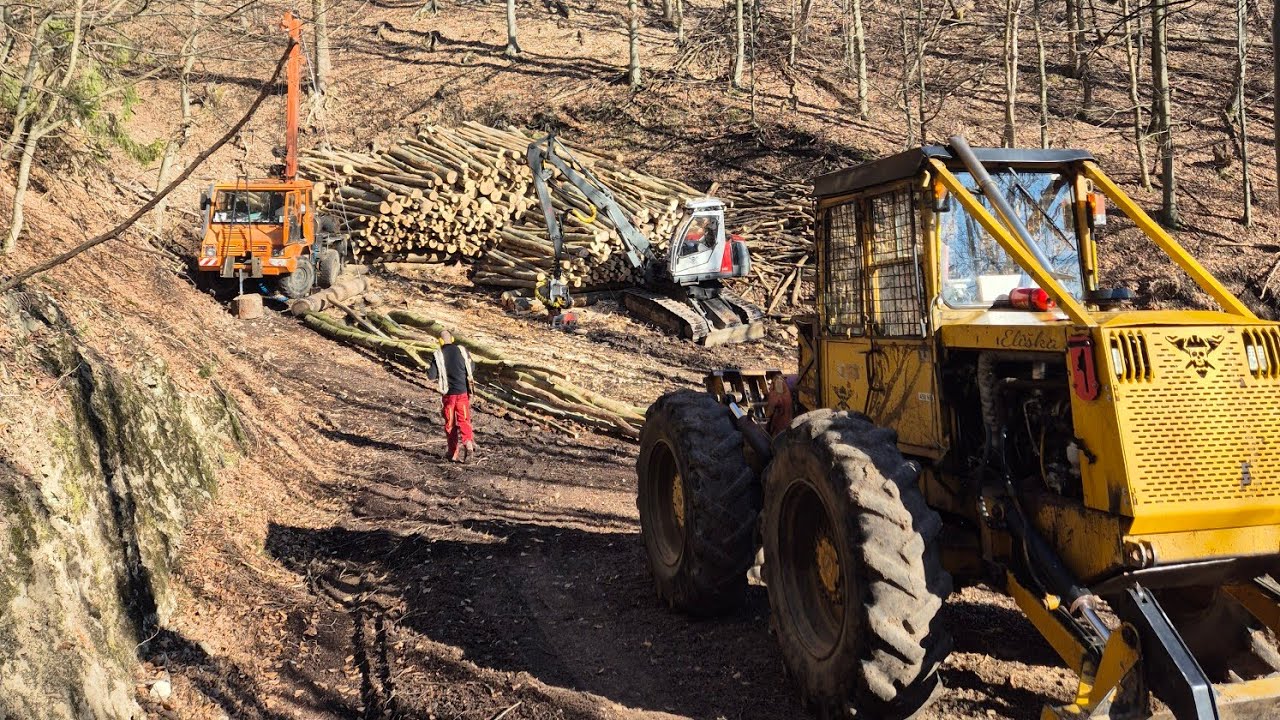 Končíme linku, vyťahujeme stromy s jarku a s lanom idem na maximum. Lesná lanovka a stihl ms 462