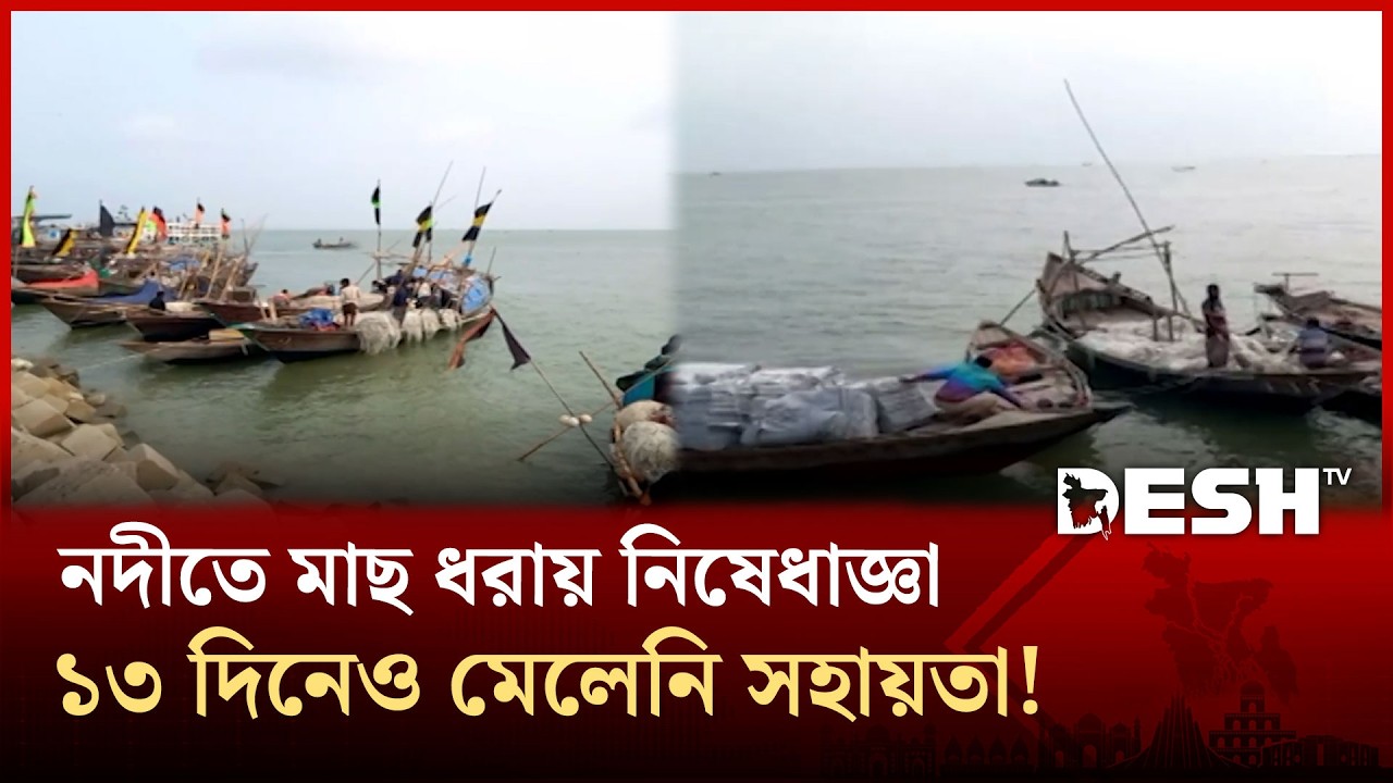 ভোলায় ১৩ দিনেও মেলেনি জেলেদের সহায়তার চাল | Desh TV