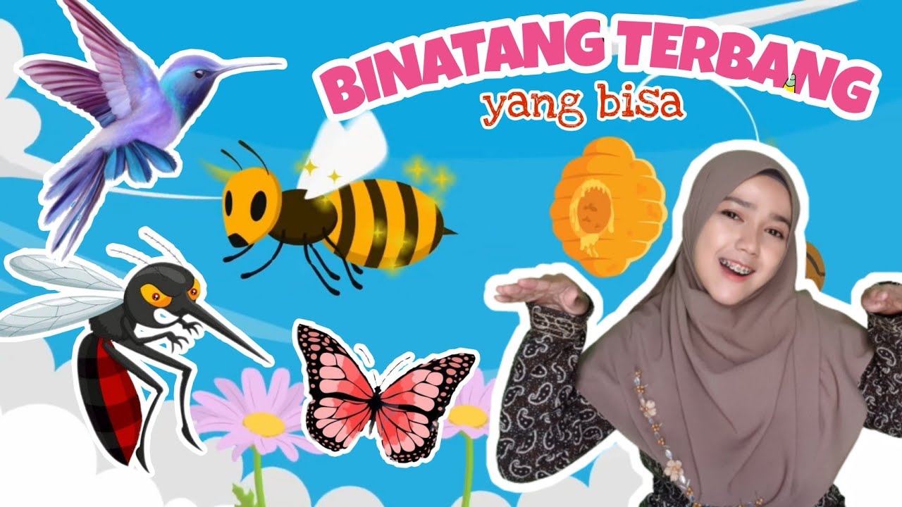 TEMA BINATANG Sub Tema Binatang yang Hidup di Udara (Bisa terbang) || Materi PAUD