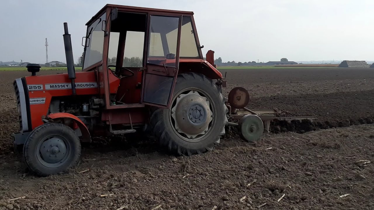 Orka, oreczka , orunia na głęboko / MF255 w akcji