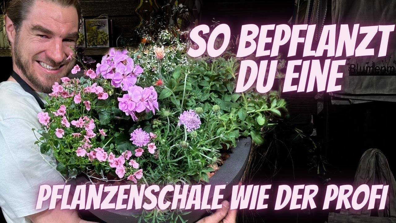 So bepflanzt du eine Pflanzschale wie ein Profi 🌸 (Standort & Erde erklärt!)