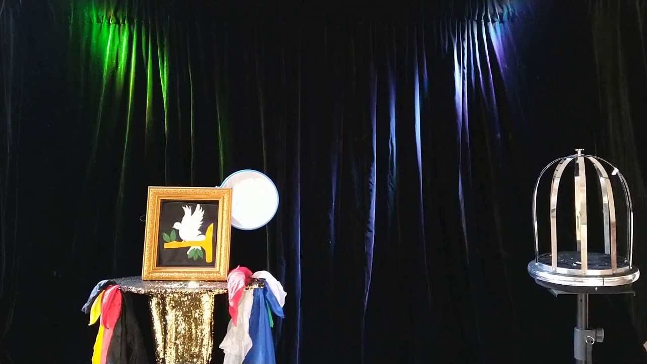 Magia con palomas