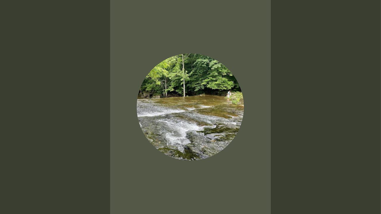 Hey y’all 👋🏻