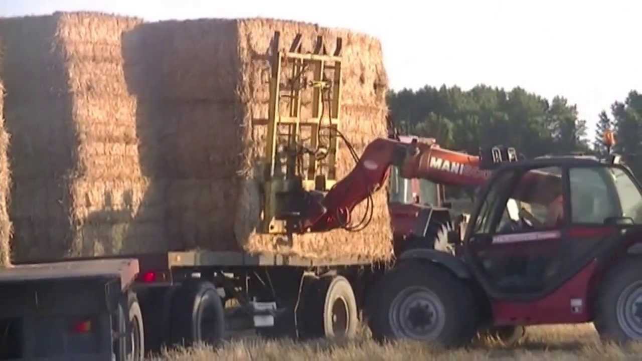 Gras dossen, schudden, swelen maken, balen persen, laden en lossen