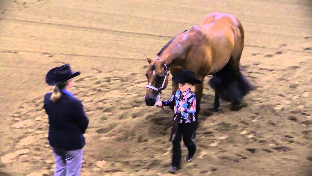 2015 AAQHC Small Fry Showmanship Champion