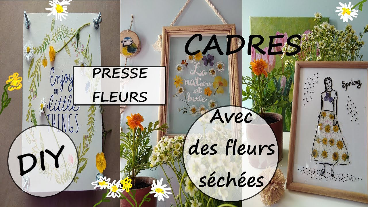 Fabrication d'un presse-fleurs et réalisation de cadres décoratifs avec des fleurs séchées