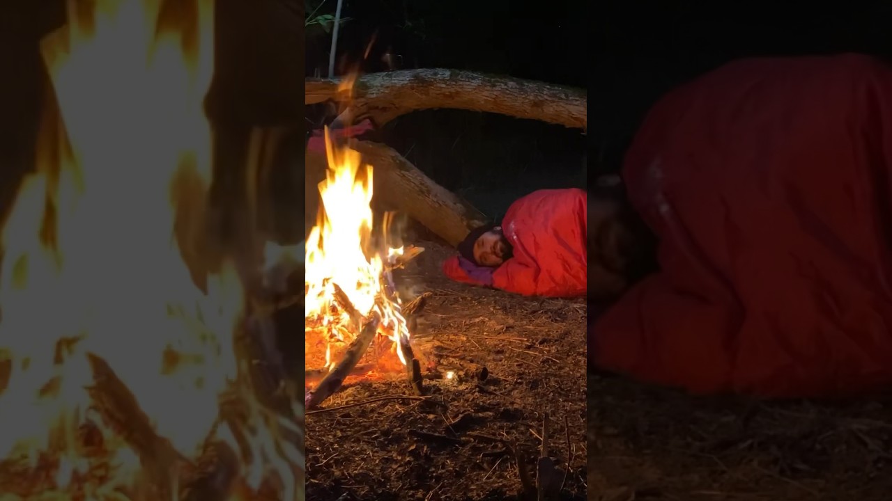 overnight in the forest #survival #shelter #survivalskills #bushcraftcamp #camping #bushcraft