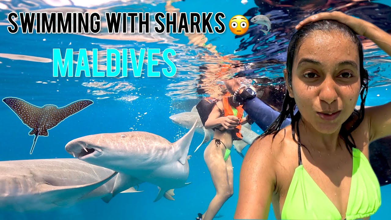 Я ВЫЖИЛ, плавая с акулами-няньками на Мальдивах 🇲🇻😳🦈