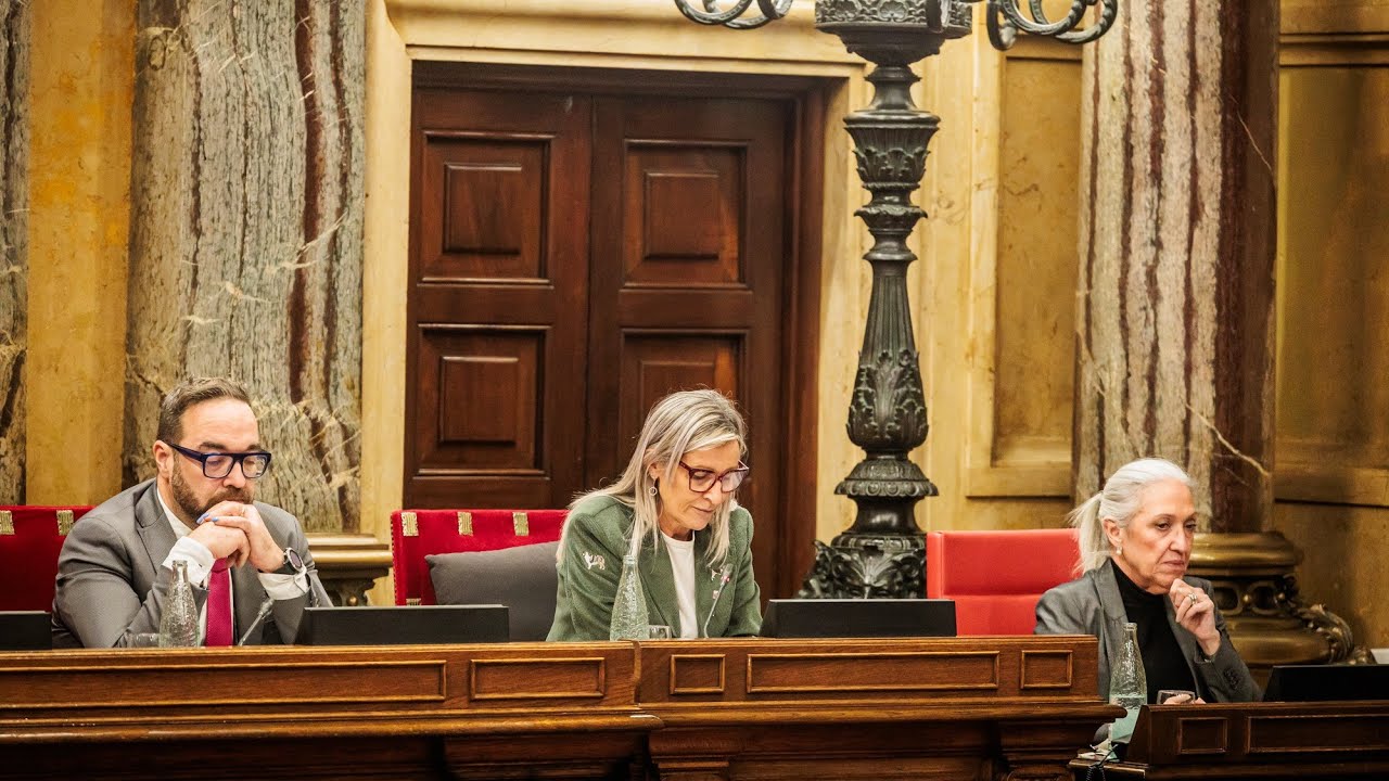 Declaració de condemna de la repressió de la població per part del règim iranià