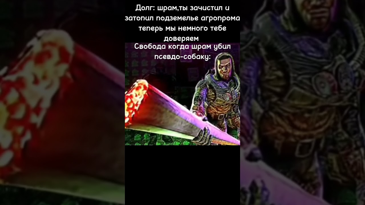 Свобода и шрам мем по сталкеру 229 #сталкер #stallker #мем #свобода #сталкерчистоенебо #short