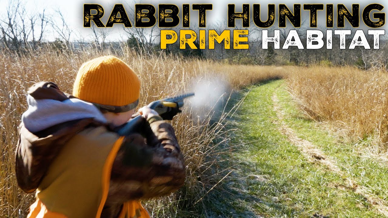 Охота на кроликов в Кентукки с биологом-специалистом по дикой природе - Great Habitat