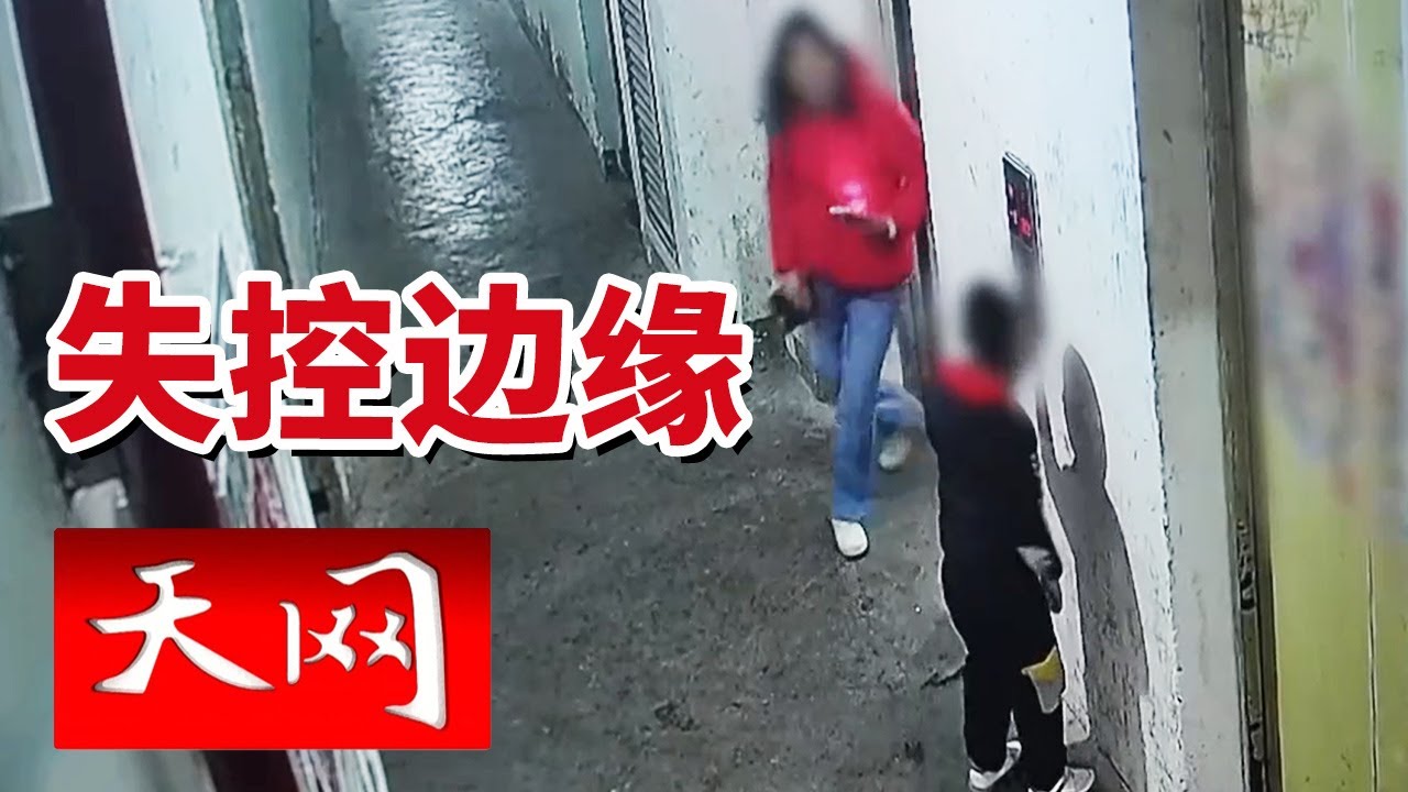 《天网》在违法的边缘试探 瞬间失控的情绪竟会带来牢狱之灾？20260127