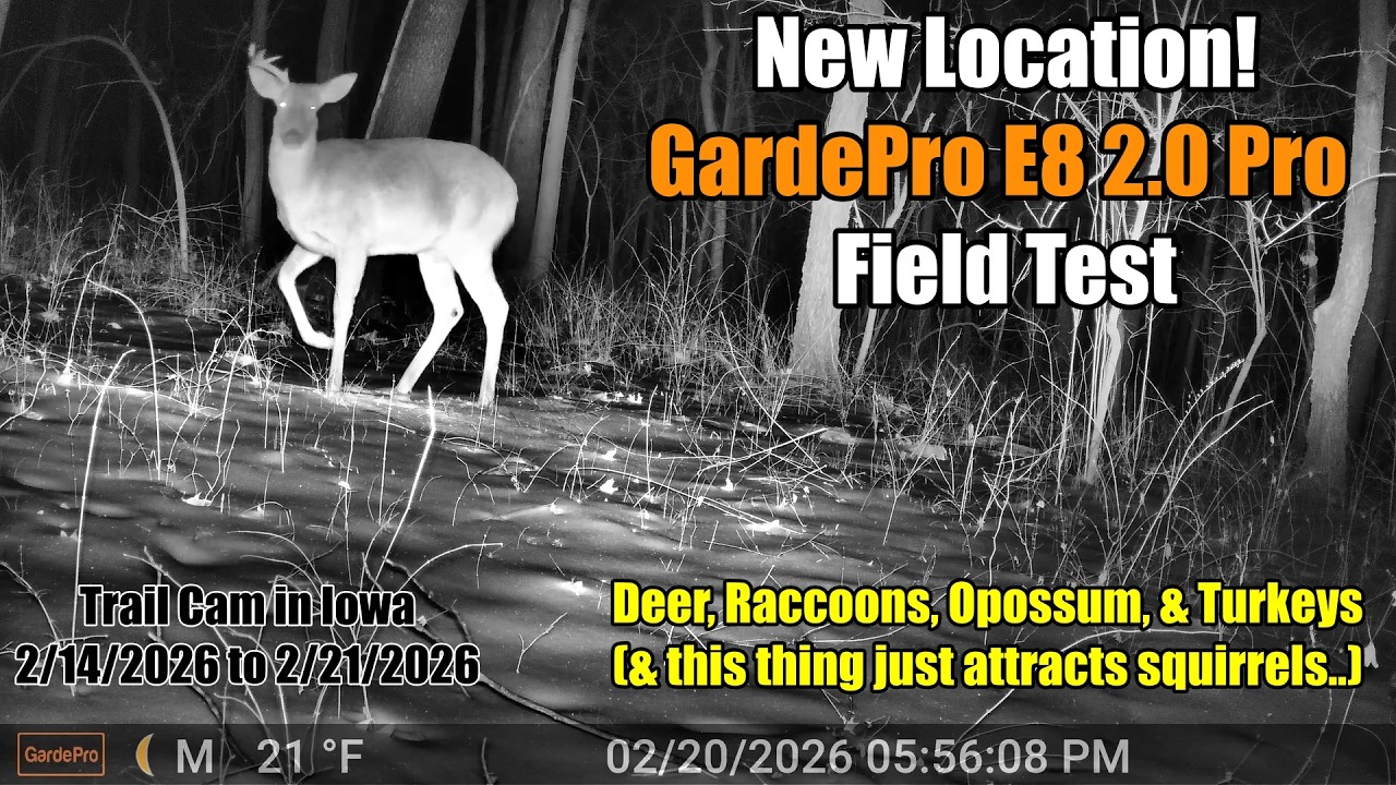 A Week of Activity from a Trail Cam in Iowa, 2/14/2026 to 2/21/2026, GardePro E8 2.0 Pro Field Test