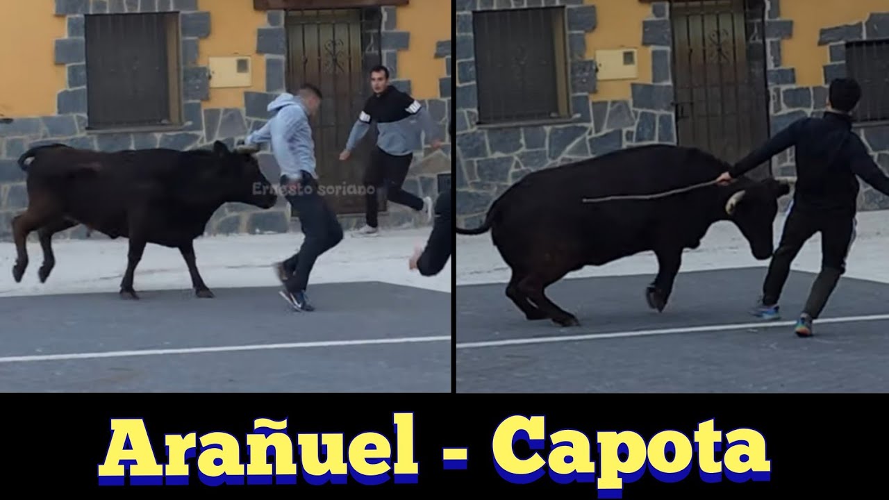 Ara&ntilde;uel - 7 Diciembre 2024 - bonitos detalles - Capota