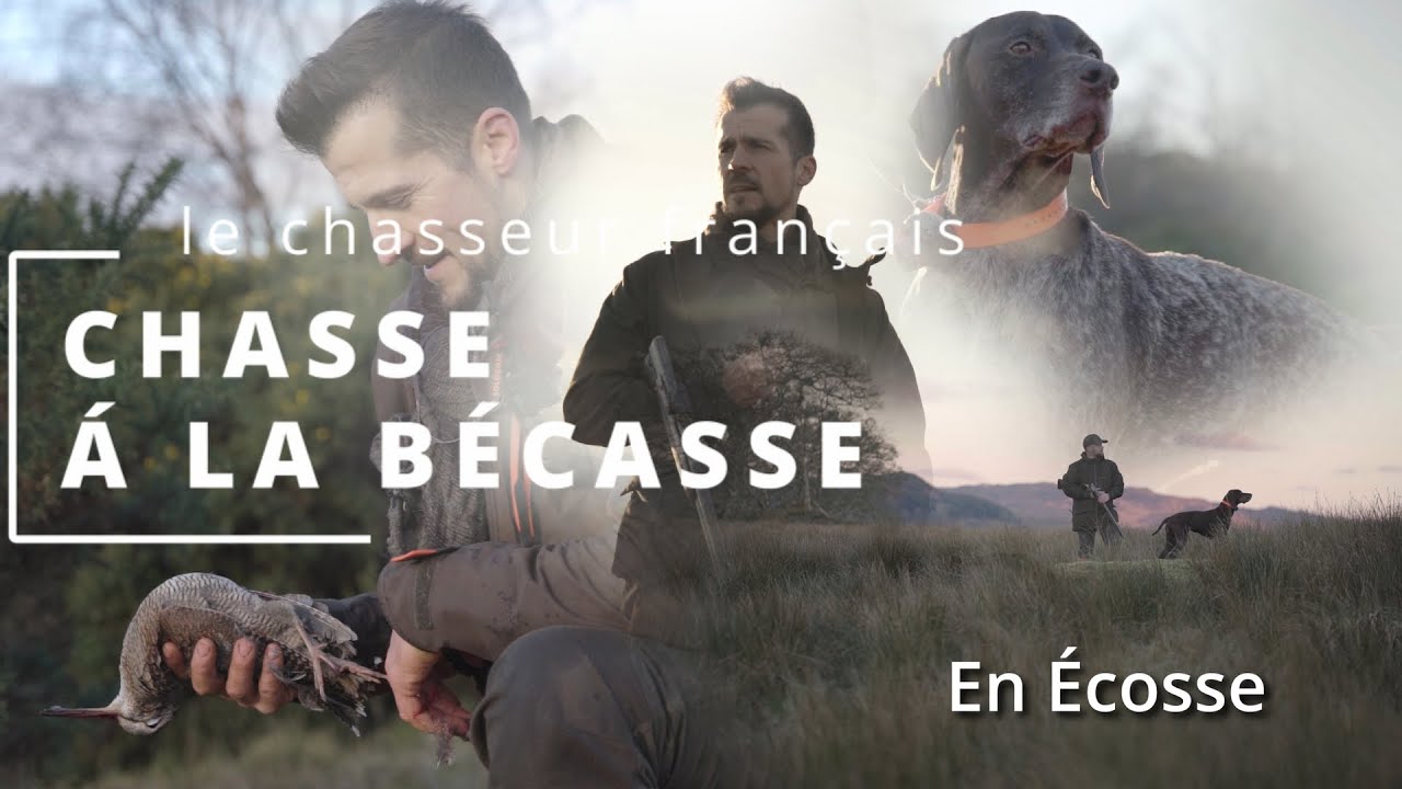 CHASSE À LA BÉCASSE EN ÉCOSSE