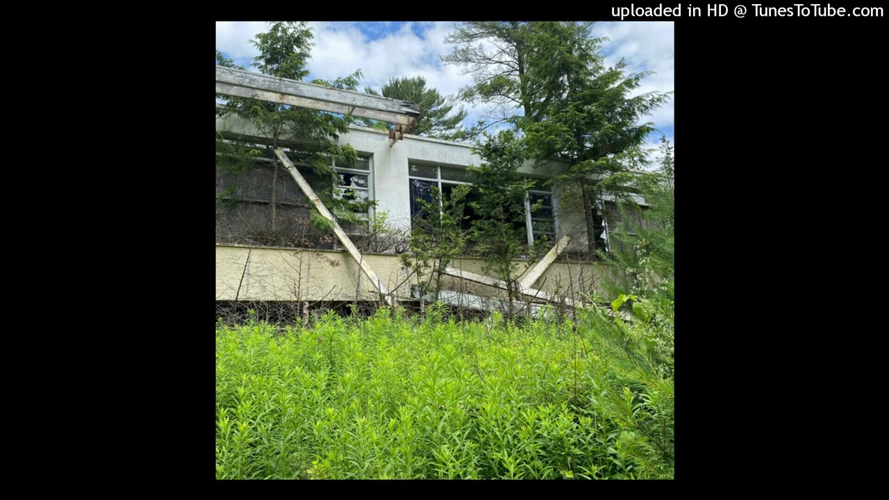 flying fish - wonder if you care but it's slowed to perfection