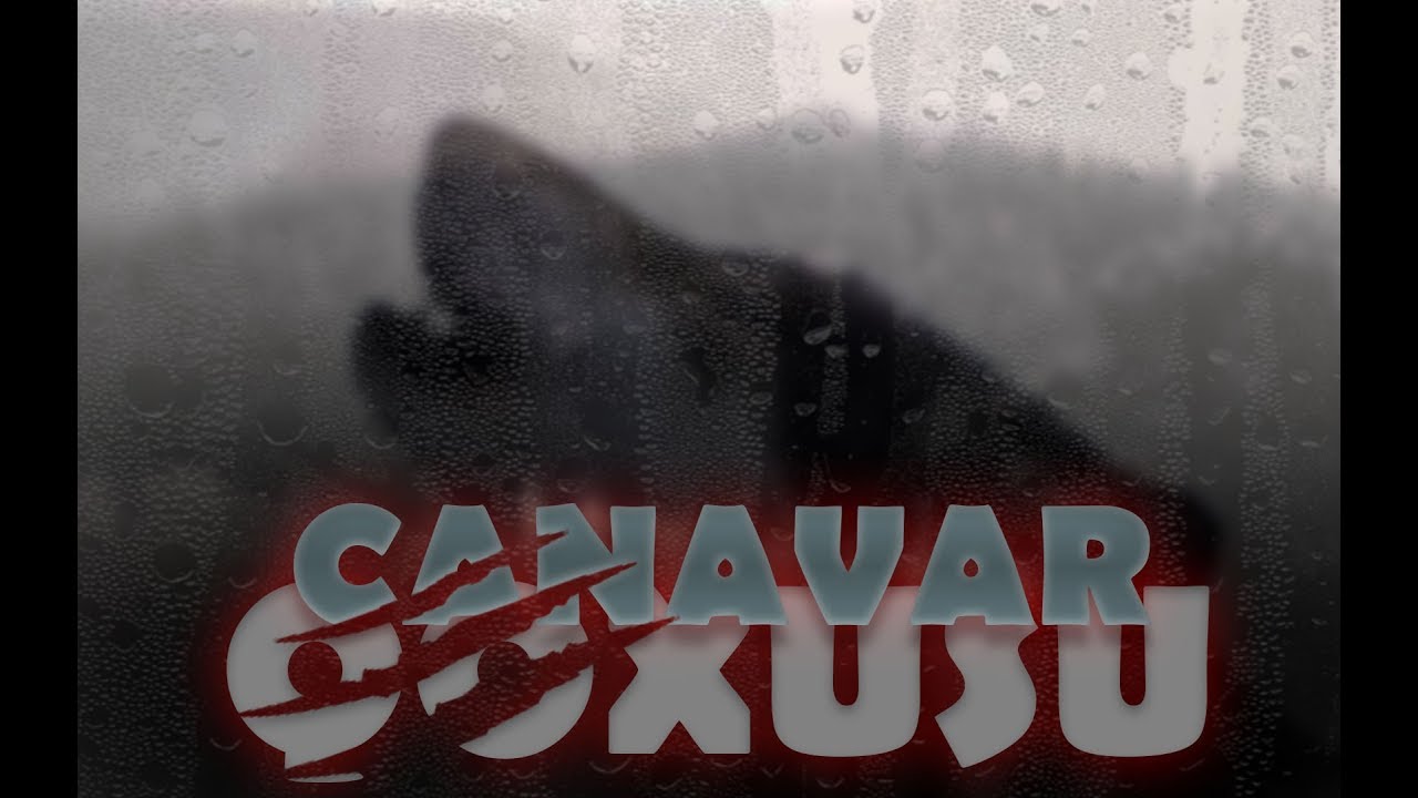 CANAVAR QOXUSU (original versiya) TAM FILM