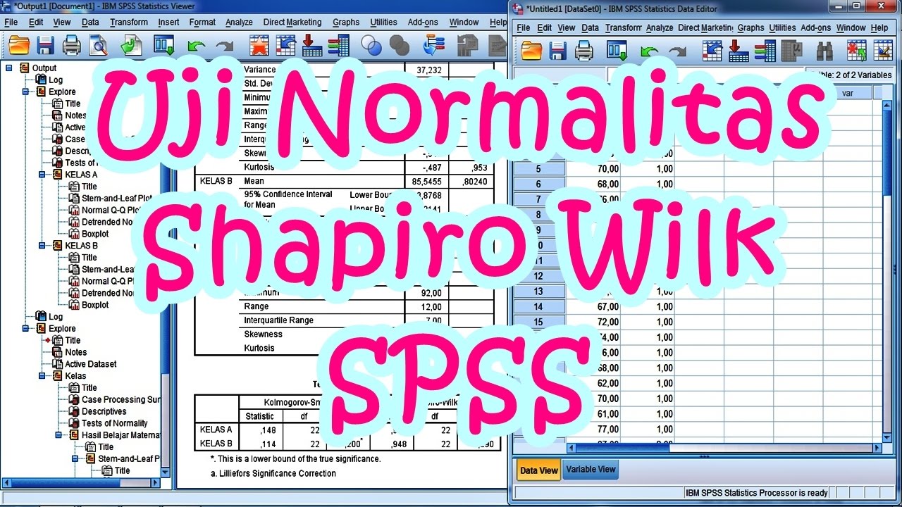 Uji Normalitas Shapiro Wilk untuk Statistik Parametrik dengan SPSS