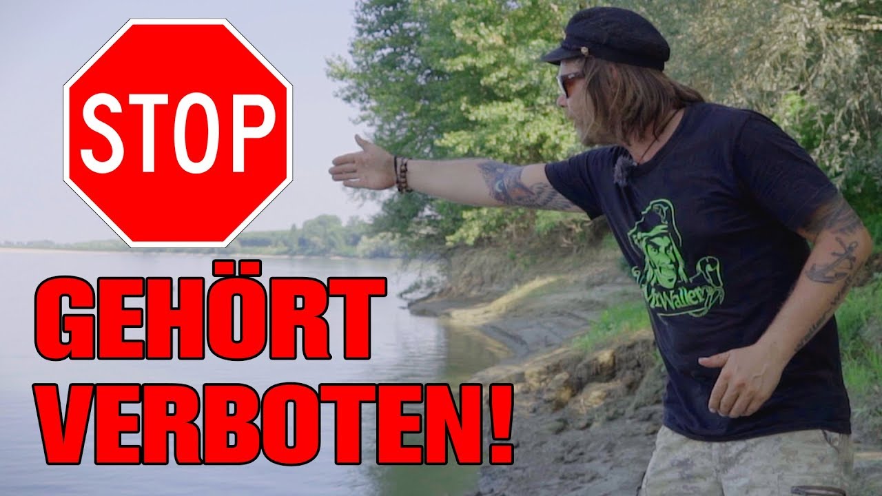 Das KOTZT mich beim Wallerangeln richtig an! | Long Range Angeln