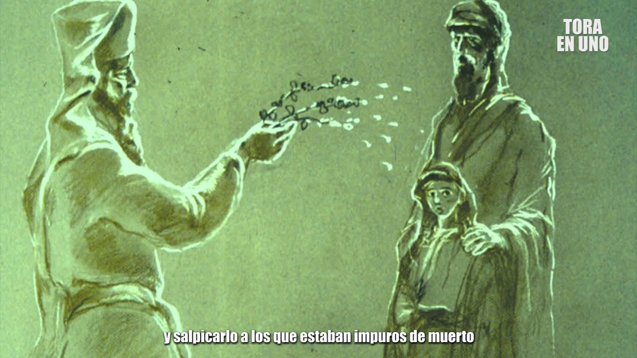 Pará Aduma - purificarnos fisicamente y espiritualmente antes de Pesaj. - R. Ishai Harari