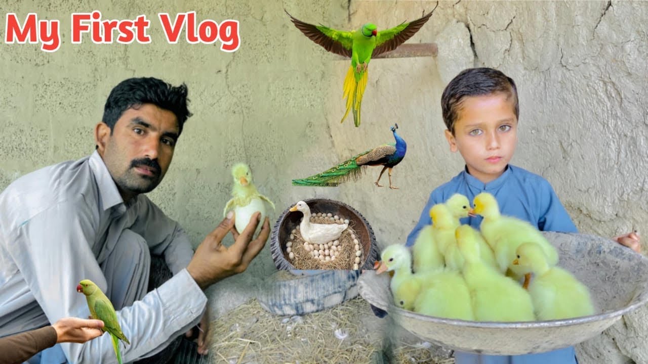 My First Vlog | My New First Vlog