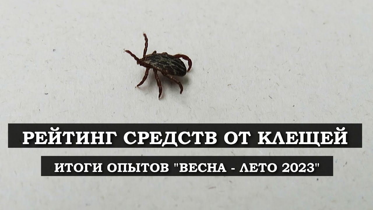 Рейтинг средств от клещей по результатам опытов Весна - Лето 2023