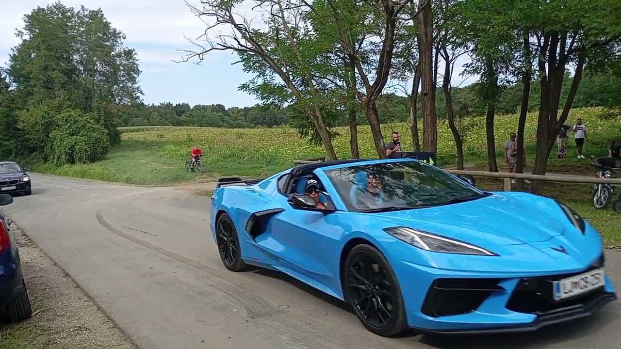 US car picnic Brestje 2024